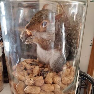 Meet your Posher, Avery